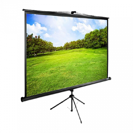 Экран Cactus 150x200см TriExpert CS-PSTE-200x150-BK 4:3 напольный рулонный черный 