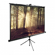Экран Cactus 135x180см TriExpert CS-PSTE-180x135-BK 4:3 напольный рулонный черный