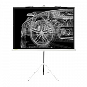 Экран Cactus 124.5x221см Triscreen CS-PST-124x221 16:9 напольный рулонный черный